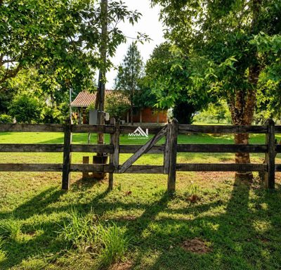 Chácara, 180 hectares - Foto 4