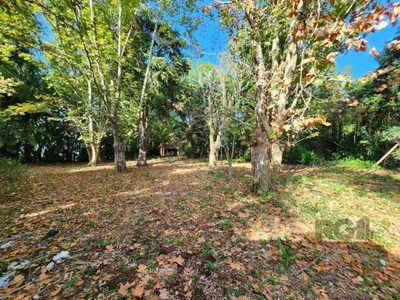 Terreno, 5321 m² - Foto 5