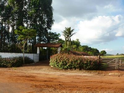 Sítio, 3 quartos, 150 m² - Foto 2