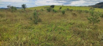 Fazenda - Foto 2