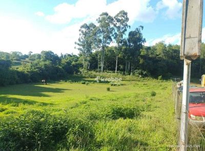 Terreno, 4475 m² - Foto 5