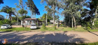Sítio, 6 quartos, 3060 m² - Foto 1