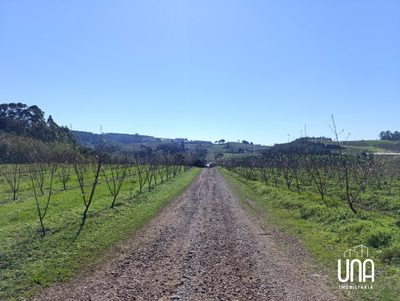 Chácara, 2 hectares - Foto 3
