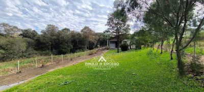 Sítio, 7 hectares - Foto 4