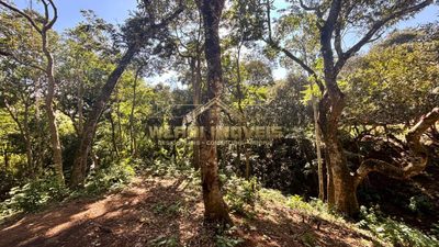 Fazenda, 2000 m² - Foto 4