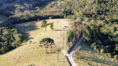 Terreno, 2 hectares - Foto 1