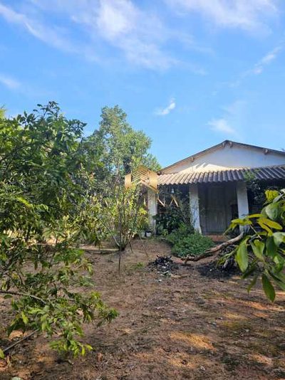 Chácara, 2 quartos - Foto 4