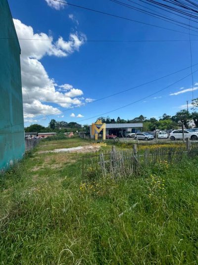 Terreno, 675 m² - Foto 3