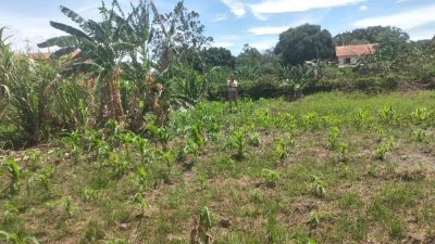 Terreno, 1500 m² - Foto 4