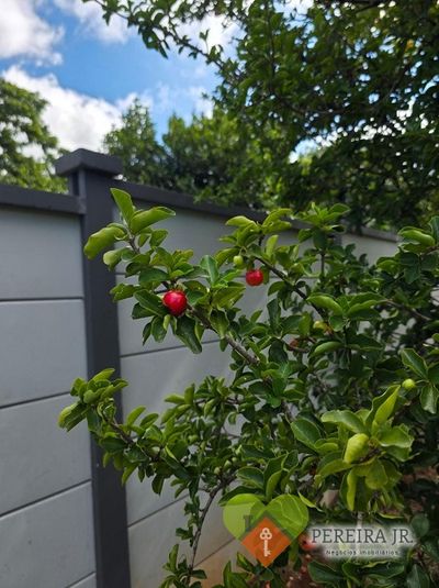 Terreno, 1000 m² - Foto 3