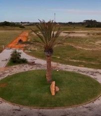 Terreno, 450 hectares - Foto 3