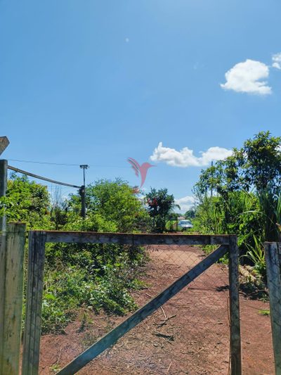 Fazenda, 3 hectares - Foto 3