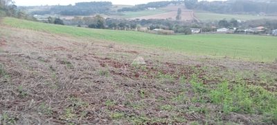 Terreno, 5 hectares - Foto 3