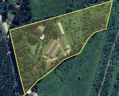 Chácara, 4 quartos, 2 hectares - Foto 4