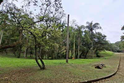 Terreno, 5050 m² - Foto 1