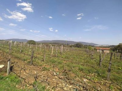 Prédio Inteiro, 36000 m² - Foto 3