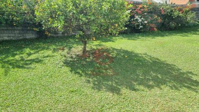 Terreno, 295 m² - Foto 2