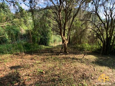 Terreno, 1967 m² - Foto 5
