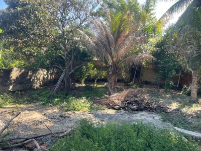Terreno, 437 m² - Foto 3