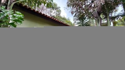 Terreno, 1000 m² - Foto 3