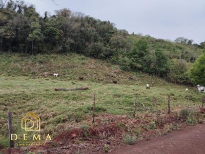 Fazenda - Foto 5