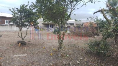 Terreno - Foto 5