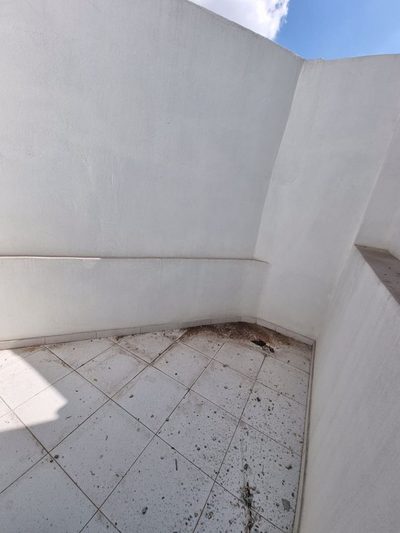 Depósito-Galpão, 350 m² - Foto 4