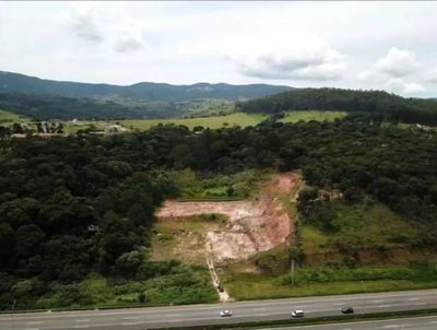 Terreno, 2 hectares - Foto 3