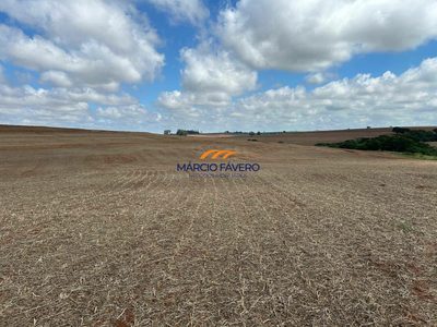 Fazenda, 278 hectares - Foto 3