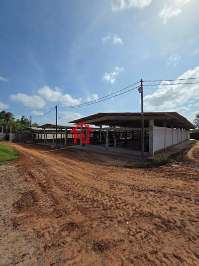 Depósito-Galpão, 1500 m² - Foto 2