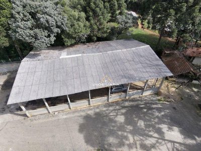 Terreno, 1 hectares - Foto 4