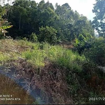 Terreno, 374 m² - Foto 2