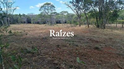 Chácara, 3 hectares - Foto 2