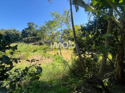Chácara, 3 quartos, 8000 m² - Foto 4
