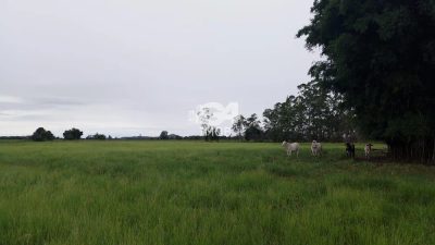 Sítio, 1 quarto - Foto 1