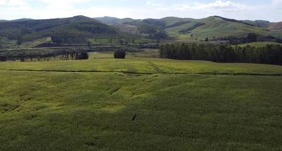 Fazenda, 2080 hectares - Foto 1