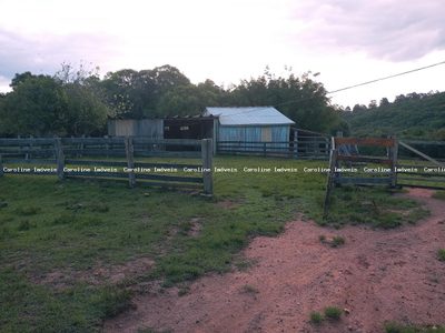 Fazenda, 16 hectares - Foto 5