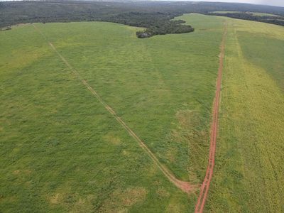 Fazenda, 1800 hectares - Foto 4