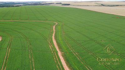 Fazenda, 1660 hectares - Foto 1