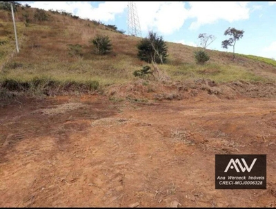 Loteamento e Condomínio, 2500 m² - Foto 4