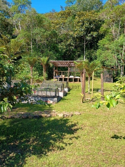 Chácara, 5 quartos, 31 hectares - Foto 3