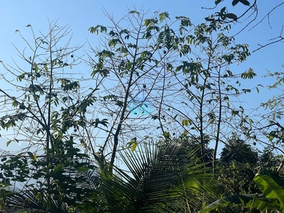 Terreno, 1170 m² - Foto 3