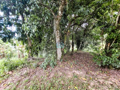 Terreno, 390 m² - Foto 4