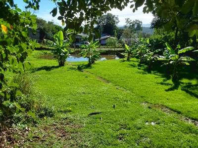 Chácara, 3 quartos, 4330 m² - Foto 1