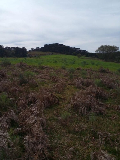 Fazenda-Sítio-Chácara, 238 m² - Foto 5