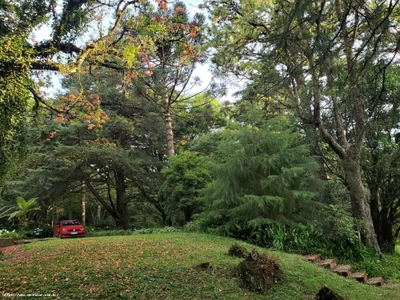 Chácara, 4 quartos, 2 hectares - Foto 1