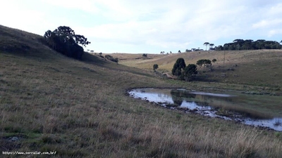 Fazenda-Sítio-Chácara, 34 m² - Foto 3
