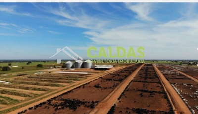 Fazenda, 5 hectares - Foto 1