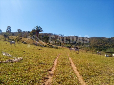 Fazenda-Sítio-Chácara - Foto 2