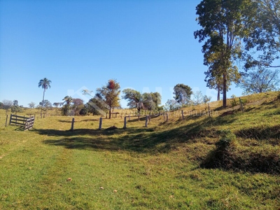 Fazenda-Sítio-Chácara - Foto 4